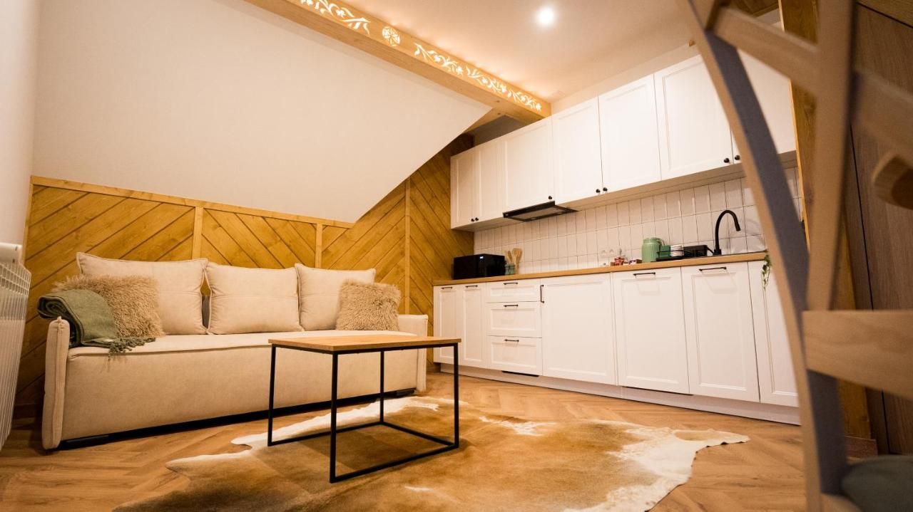 Jasny apartament z aneksem kuchennym i sofą